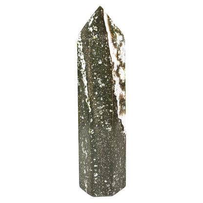 Natural Sea Jasper Crystal Point from Madagascar Polished Healing Stone Tower