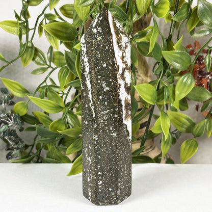 Natural Sea Jasper Crystal Point from Madagascar Polished Healing Stone Tower