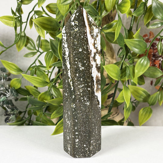 Natural Sea Jasper Crystal Point from Madagascar Polished Healing Stone Tower