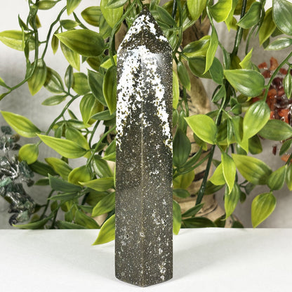 Natural Sea Jasper Crystal Point from Madagascar Polished Healing Stone Tower
