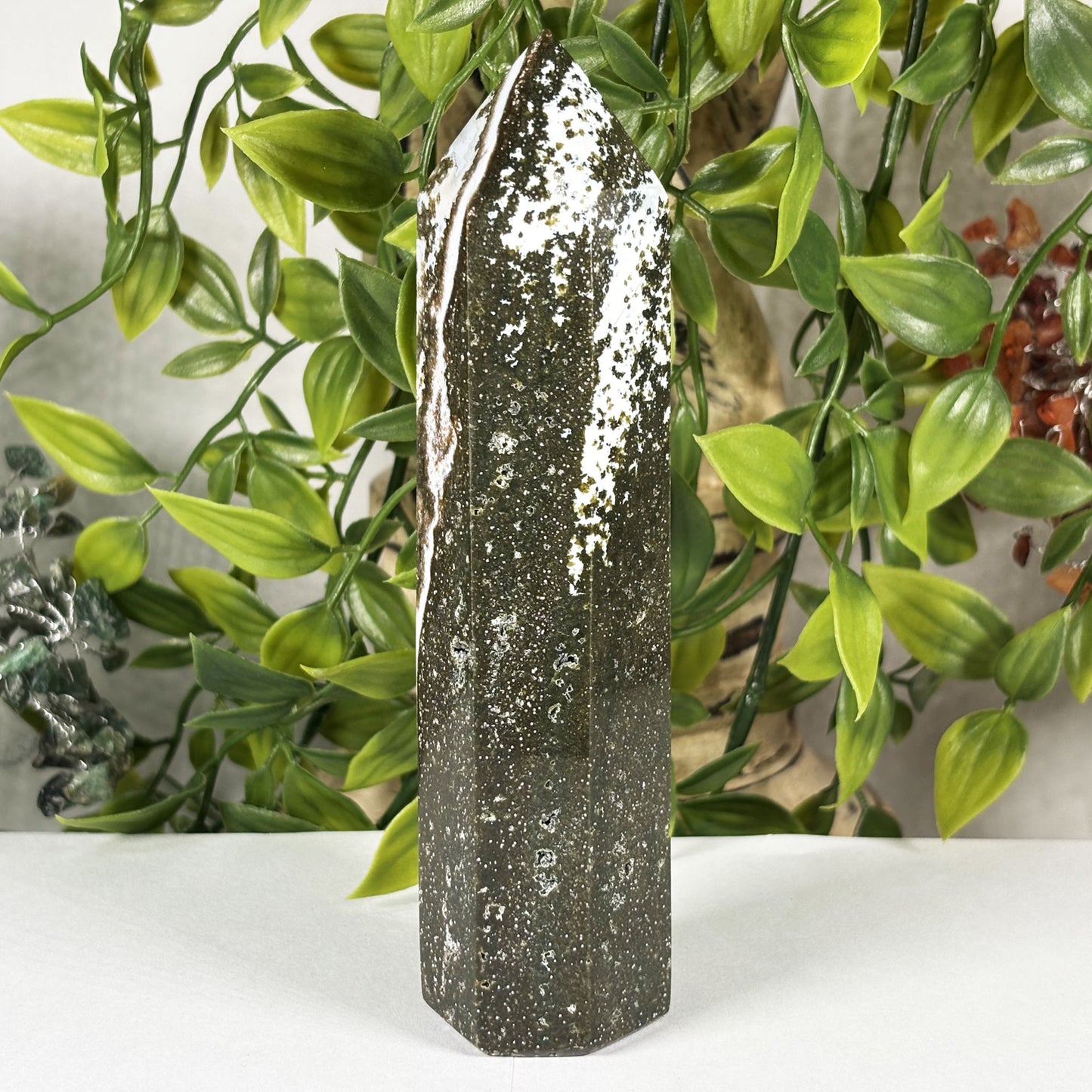 Natural Sea Jasper Crystal Point from Madagascar Polished Healing Stone Tower