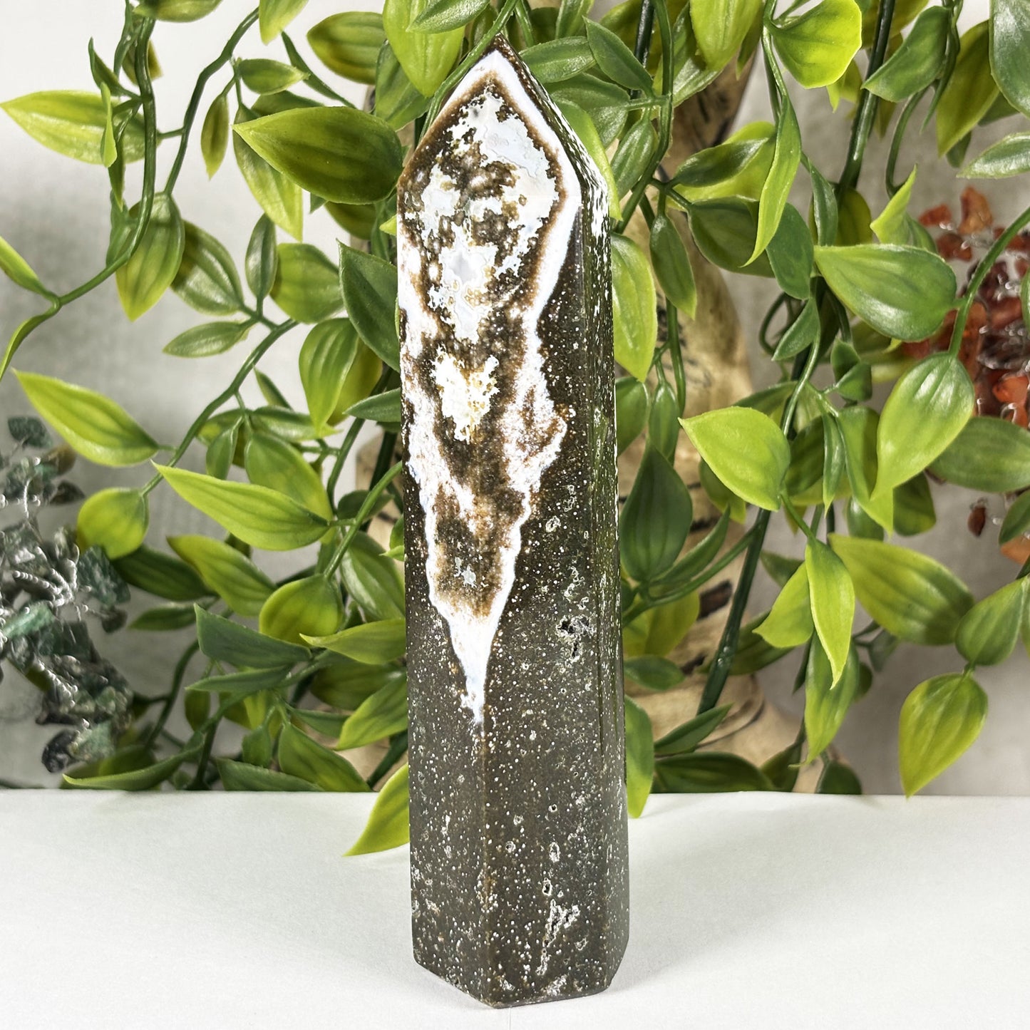 Natural Sea Jasper Crystal Point from Madagascar Polished Healing Stone Tower