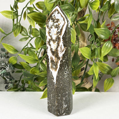 Natural Sea Jasper Crystal Point from Madagascar Polished Healing Stone Tower