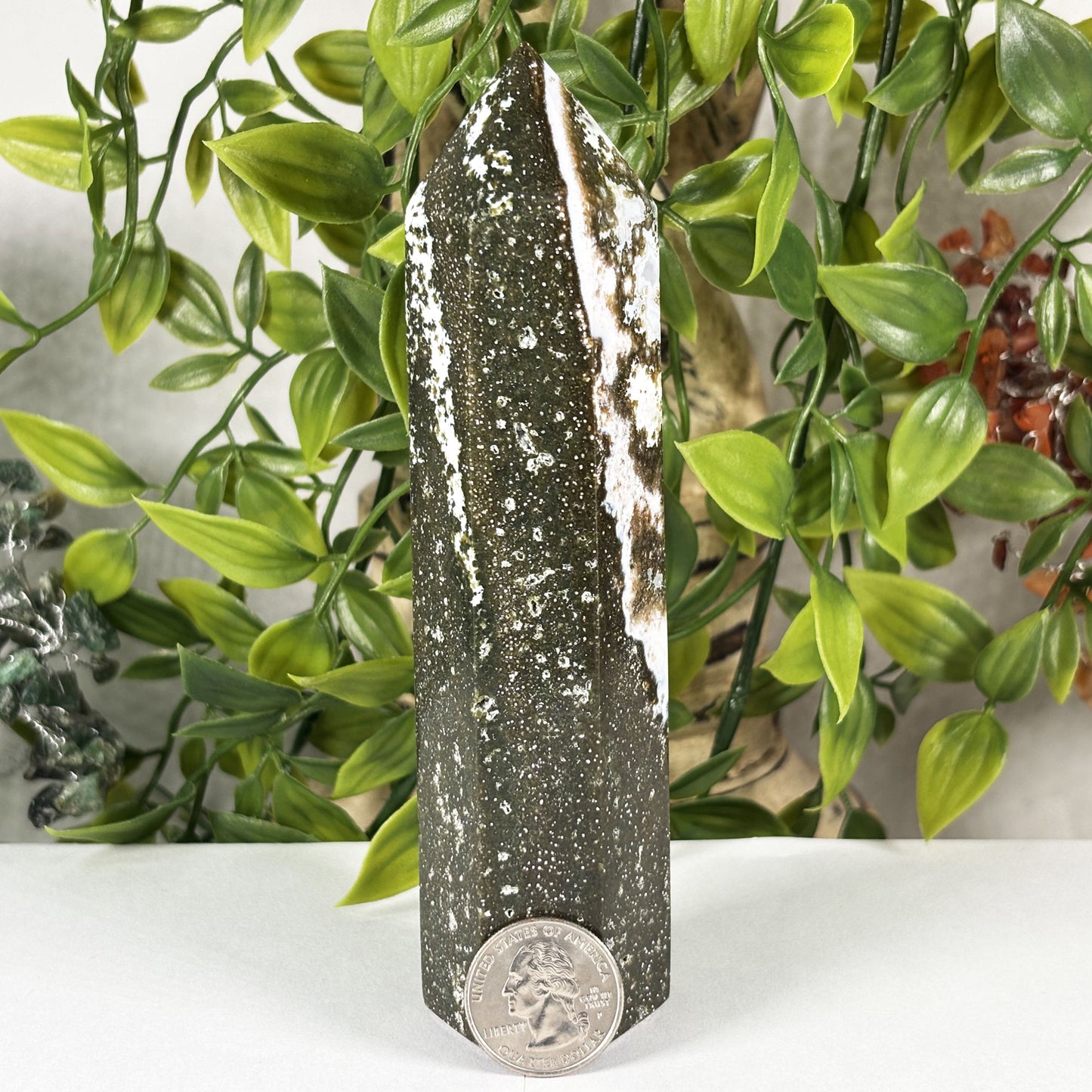 Natural Sea Jasper Crystal Point from Madagascar Polished Healing Stone Tower