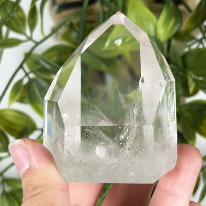 Clear Quartz Crystal Point - Gem Avenue Retail