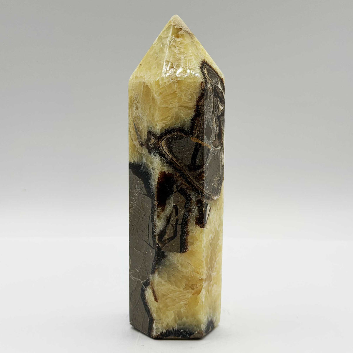 Natural Septarian Crystal Tower Obelisk - Gem Avenue Retail