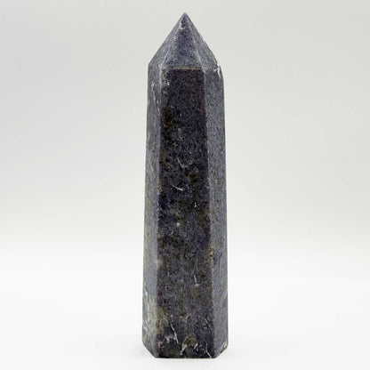 Lepidolite Crystal Tower - Gem Avenue Retail
