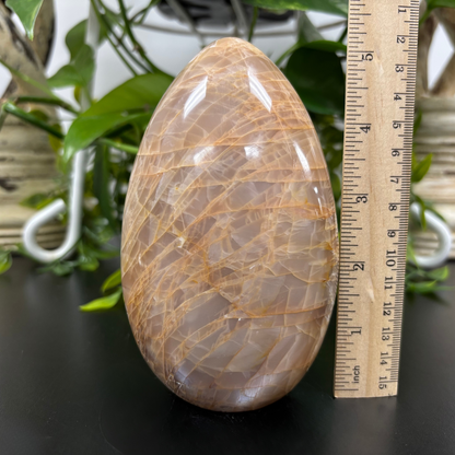 Natural Moonstone Self-Standing Freeform Rock - RPS448