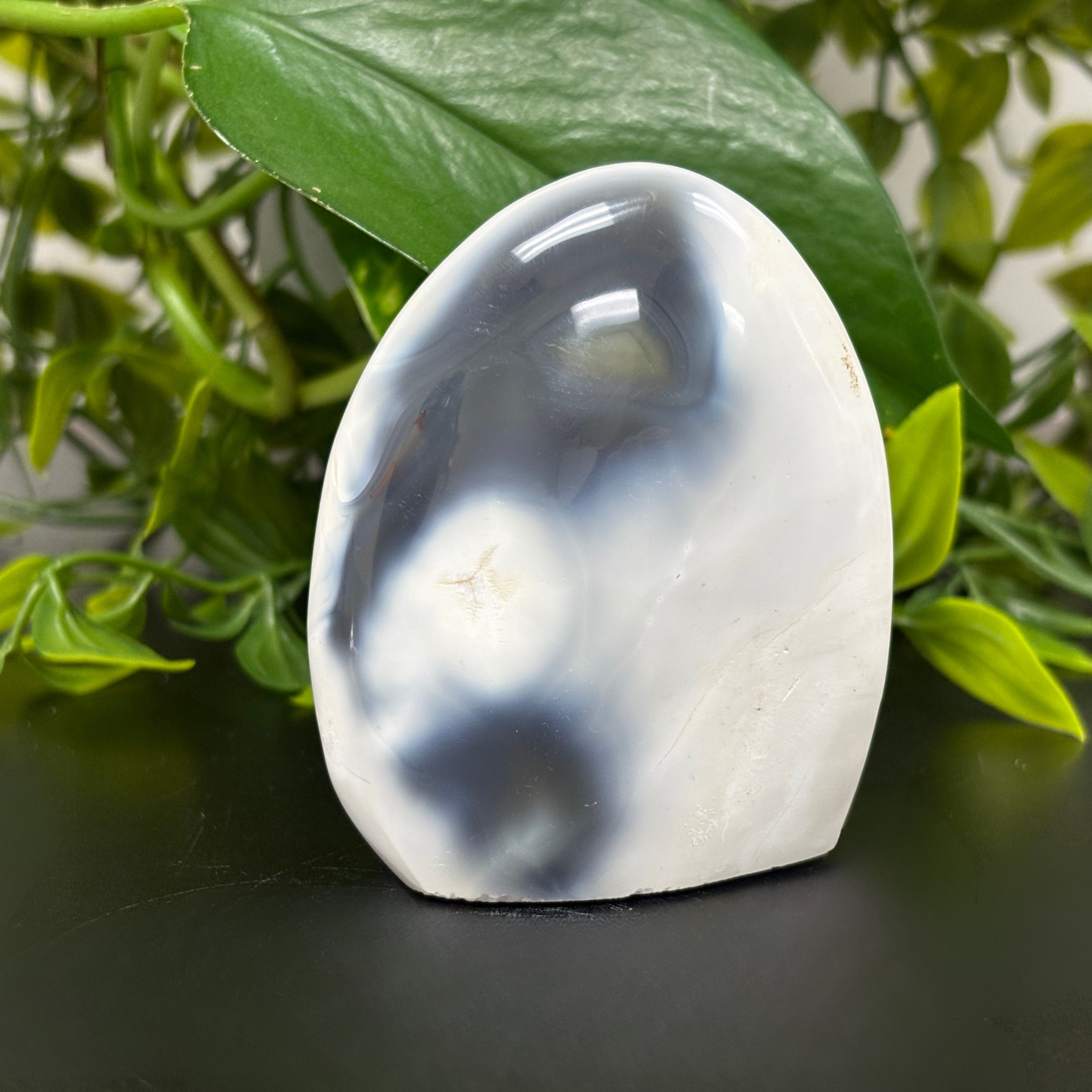 Natural Orca Agate Freeform Rock Self-Standing Polished Crystal and Home Decor Display - RPS449