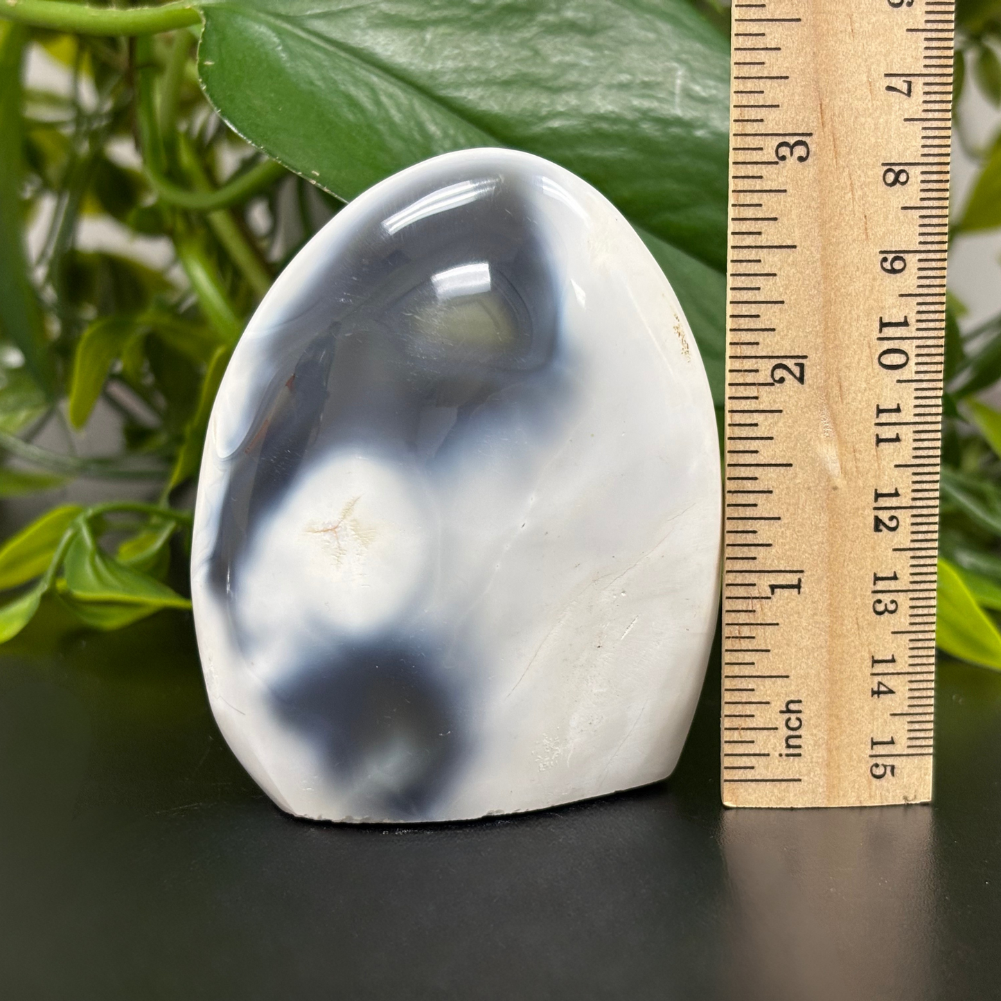 Natural Orca Agate Freeform Rock Self-Standing Polished Crystal and Home Decor Display - RPS449