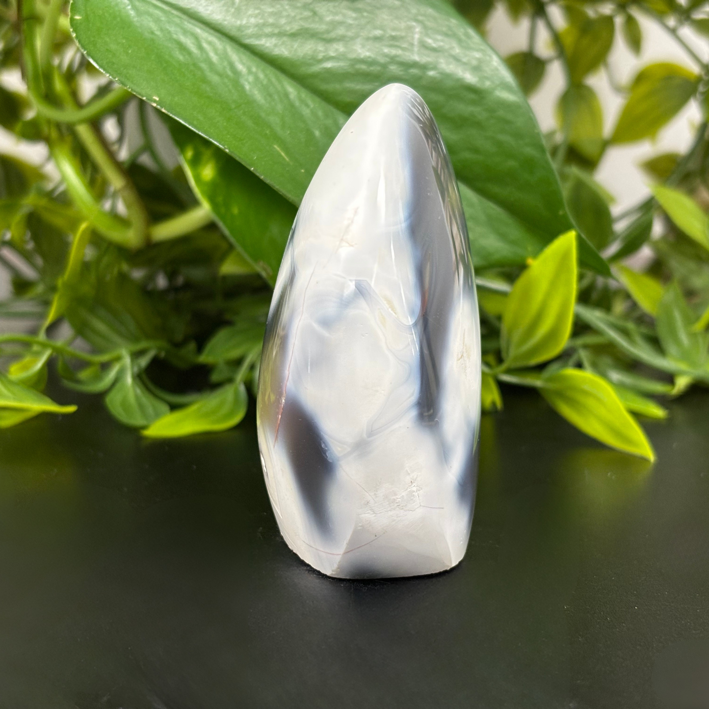 Natural Orca Agate Freeform Rock Self-Standing Polished Crystal and Home Decor Display - RPS449