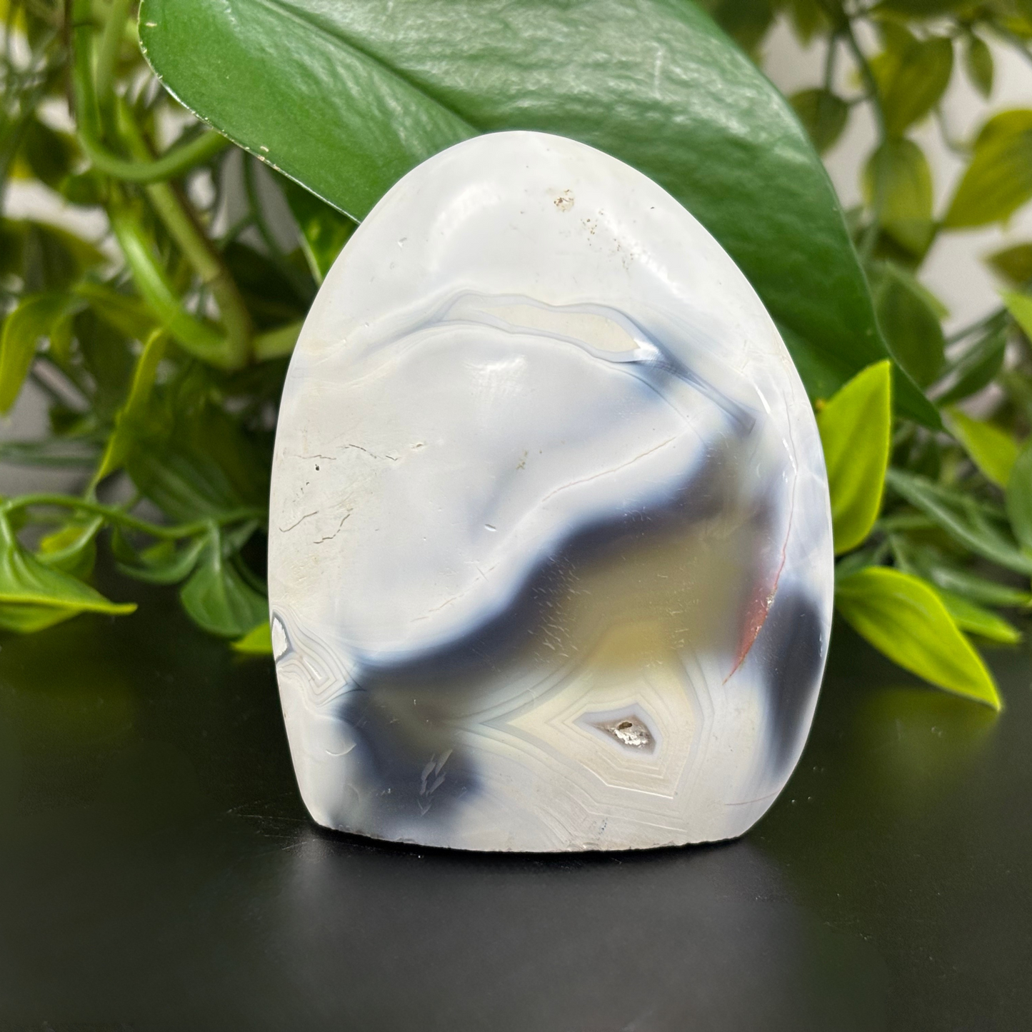 Natural Orca Agate Freeform Rock Self-Standing Polished Crystal and Home Decor Display - RPS449