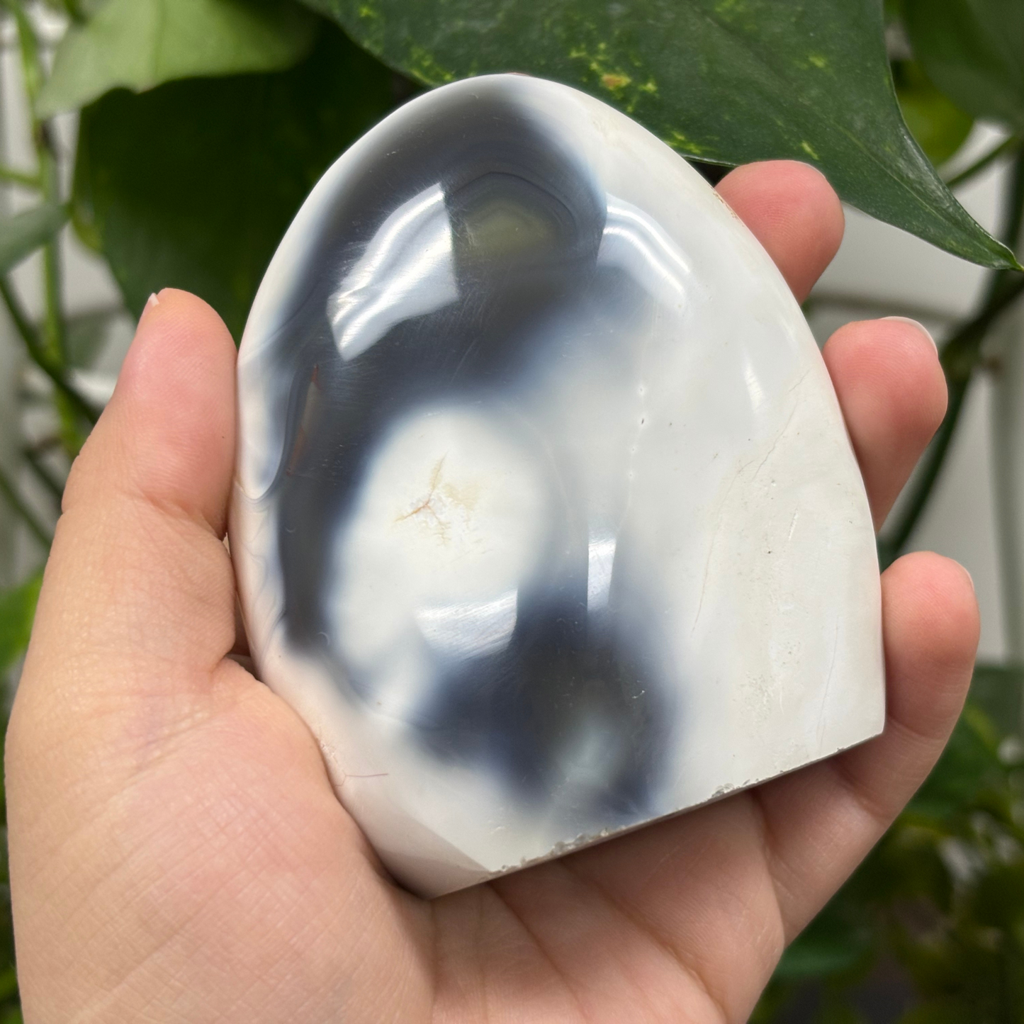 Natural Orca Agate Freeform Rock Self-Standing Polished Crystal and Home Decor Display - RPS449