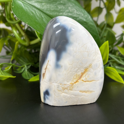Natural Orca Agate Self-Standing Freeform Rock - RPS450