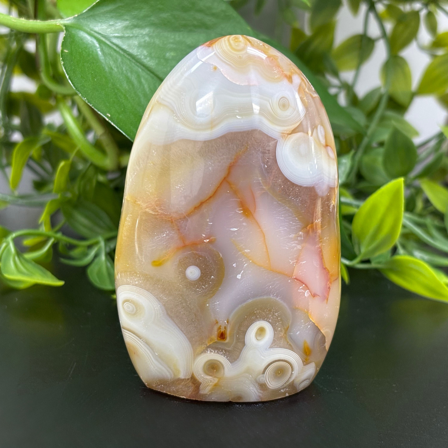 Natural Carnelian Freeform Crystal – Polished Healing Stone for Energy, Creativity & Décor – RPS454