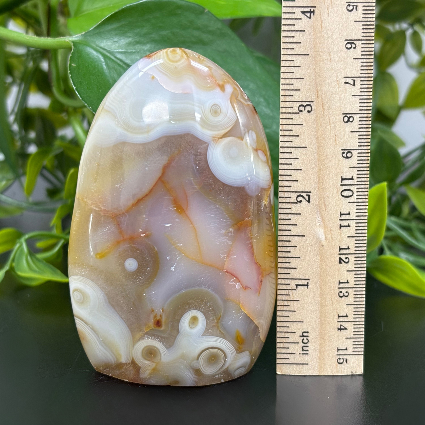 Natural Carnelian Freeform Crystal – Polished Healing Stone for Energy, Creativity & Décor – RPS454