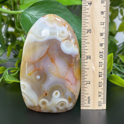 Natural Carnelian Freeform Crystal – Polished Healing Stone for Energy, Creativity & Décor – RPS454