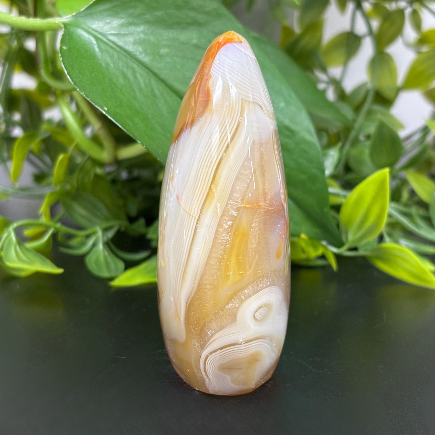 Natural Carnelian Freeform Crystal – Polished Healing Stone for Energy, Creativity & Décor – RPS454
