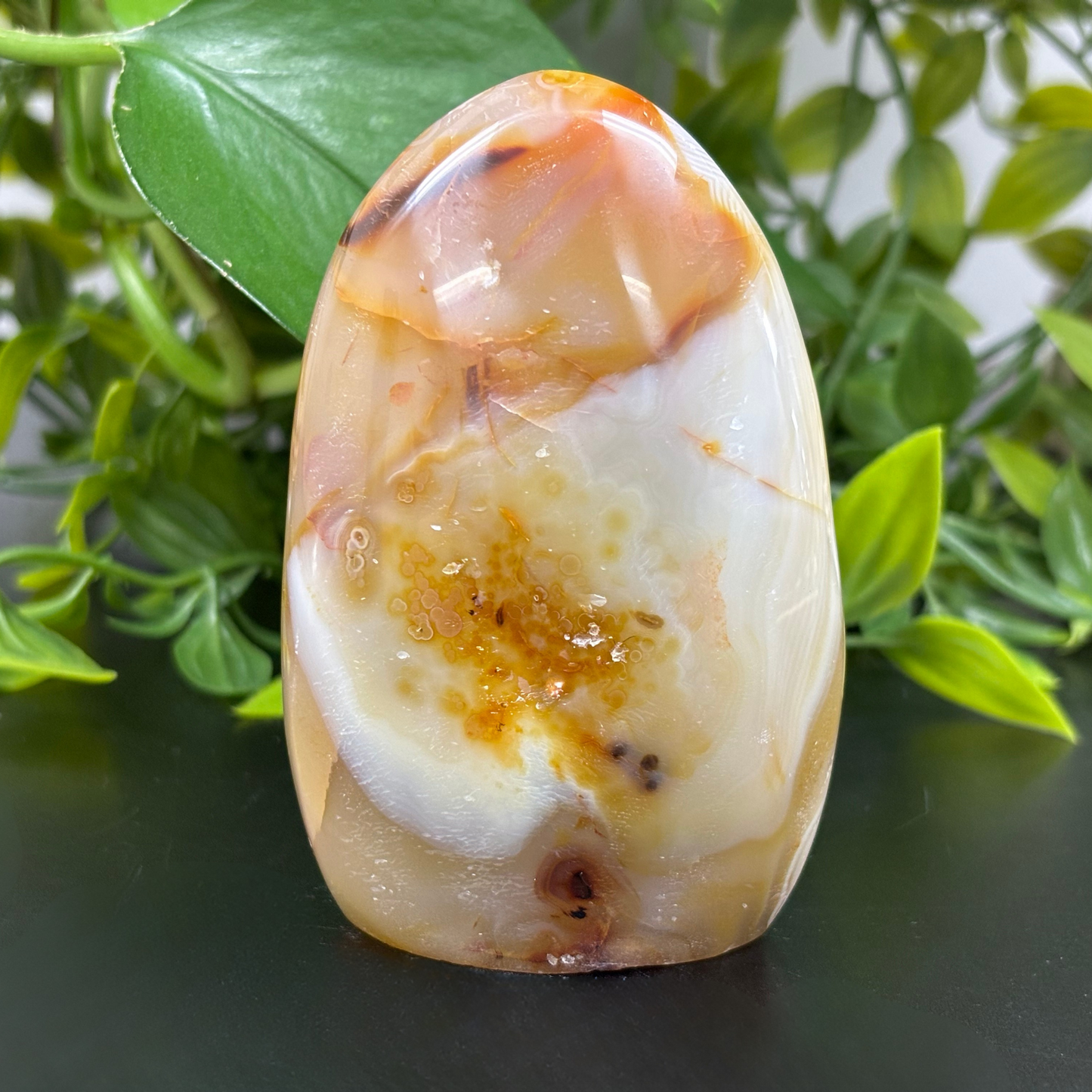 Natural Carnelian Freeform Crystal – Polished Healing Stone for Energy, Creativity & Décor – RPS454