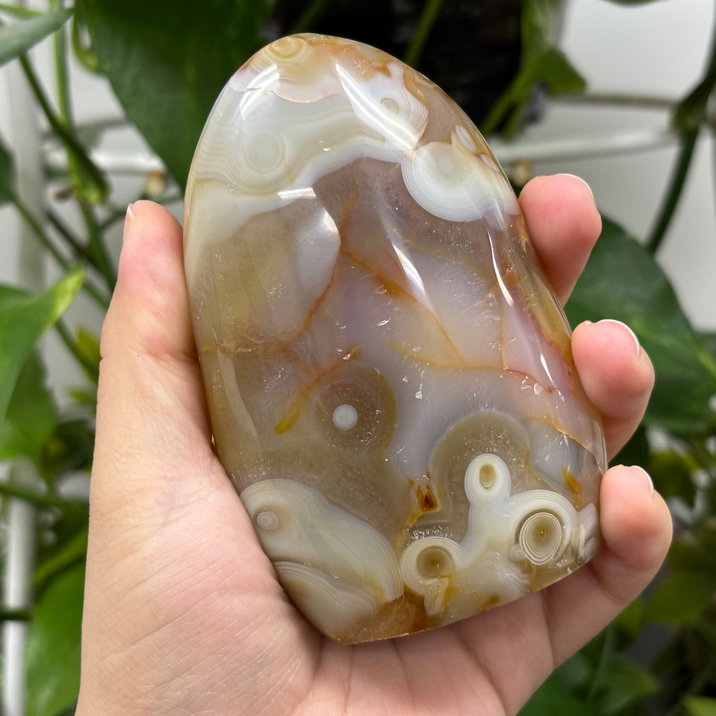 Natural Carnelian Freeform Crystal – Polished Healing Stone for Energy, Creativity & Décor – RPS454
