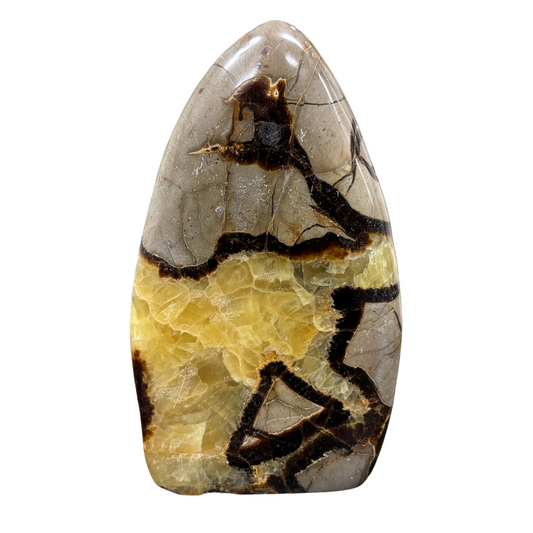 Natural Septarian Self-Standing Freeform Rock - RPS455
