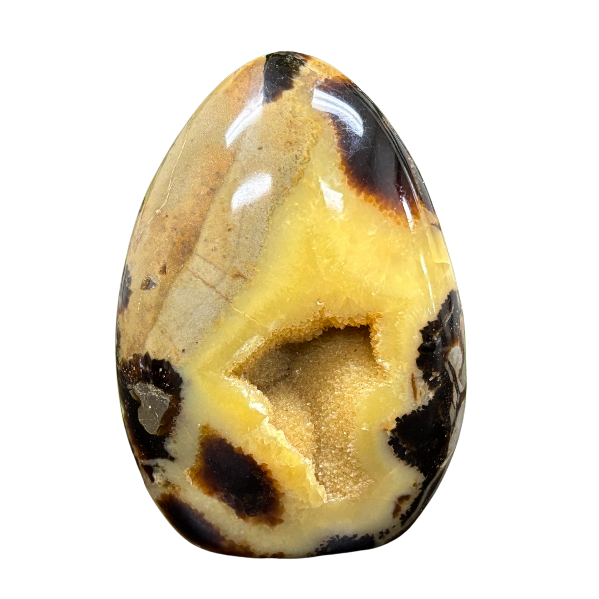 Best Freeform Rocks Natural Septarian Freeform Rock Polished Self-Standing Healing Stone ...