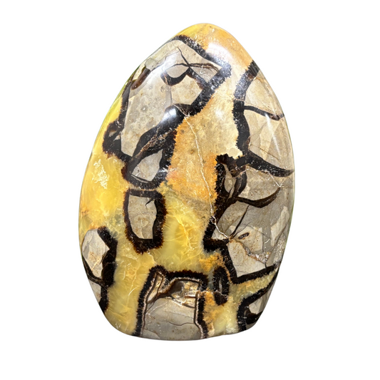 Natural Septarian Self-Standing Freeform Rock - RPS457