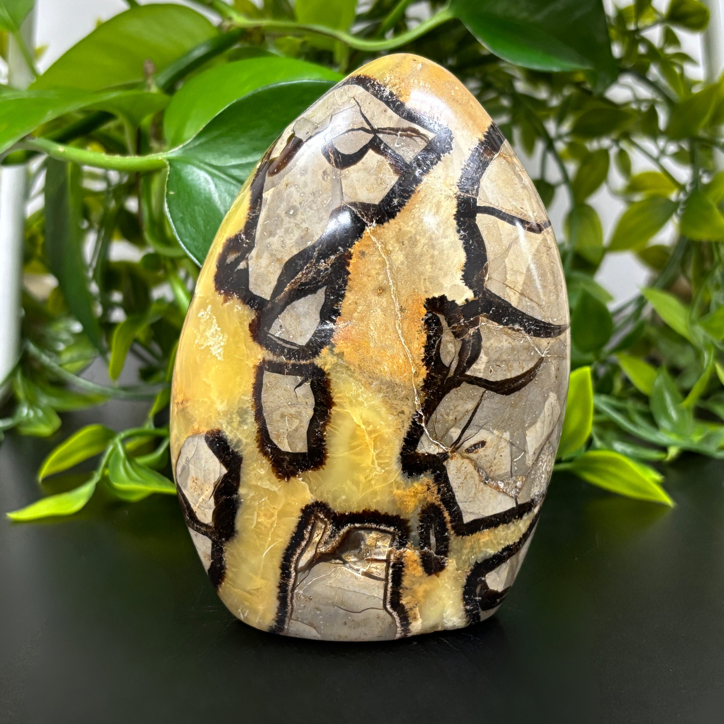 Natural Septarian Self-Standing Freeform Rock - RPS457