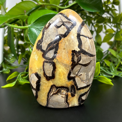Natural Septarian Self-Standing Freeform Rock - RPS457