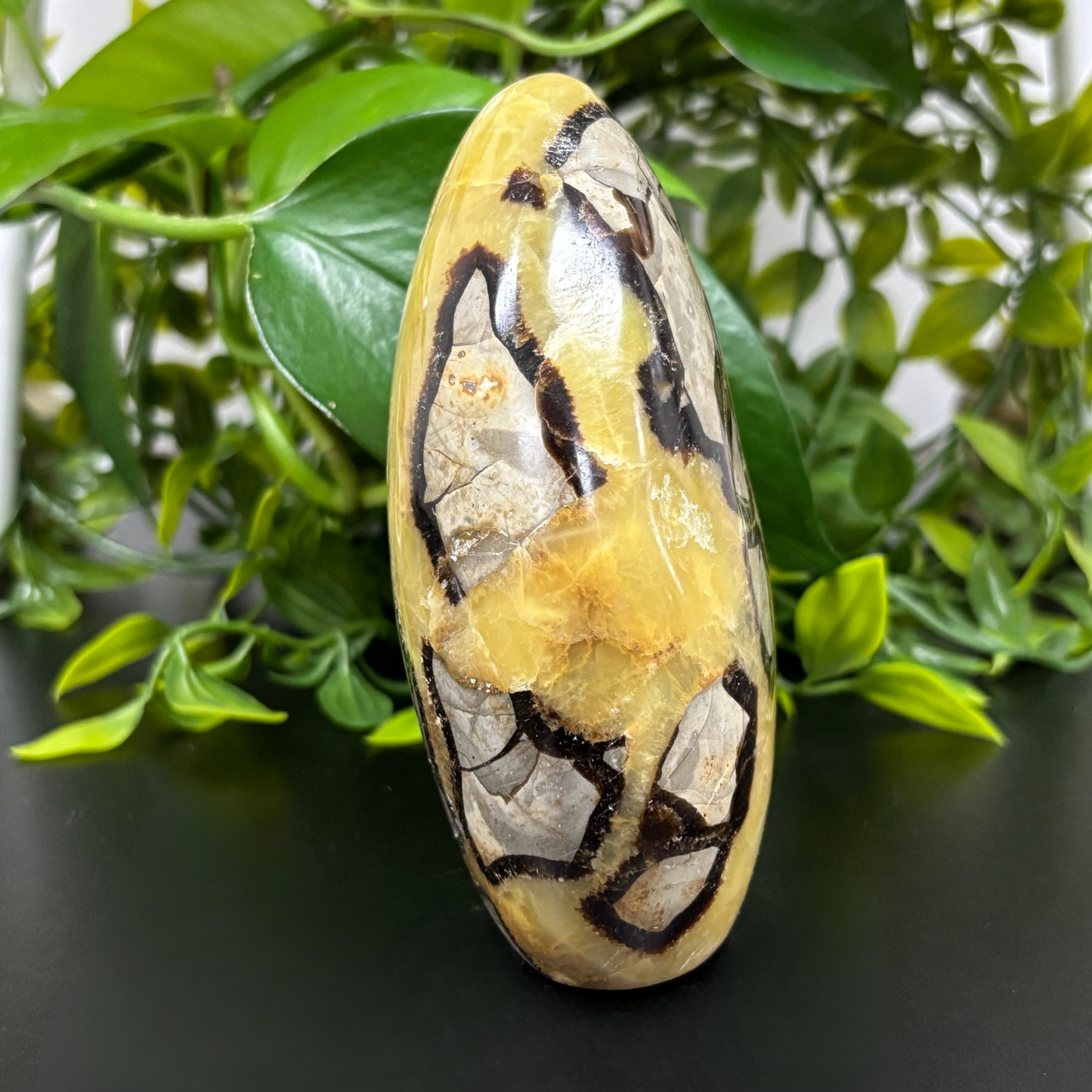Natural Septarian Self-Standing Freeform Rock - RPS457