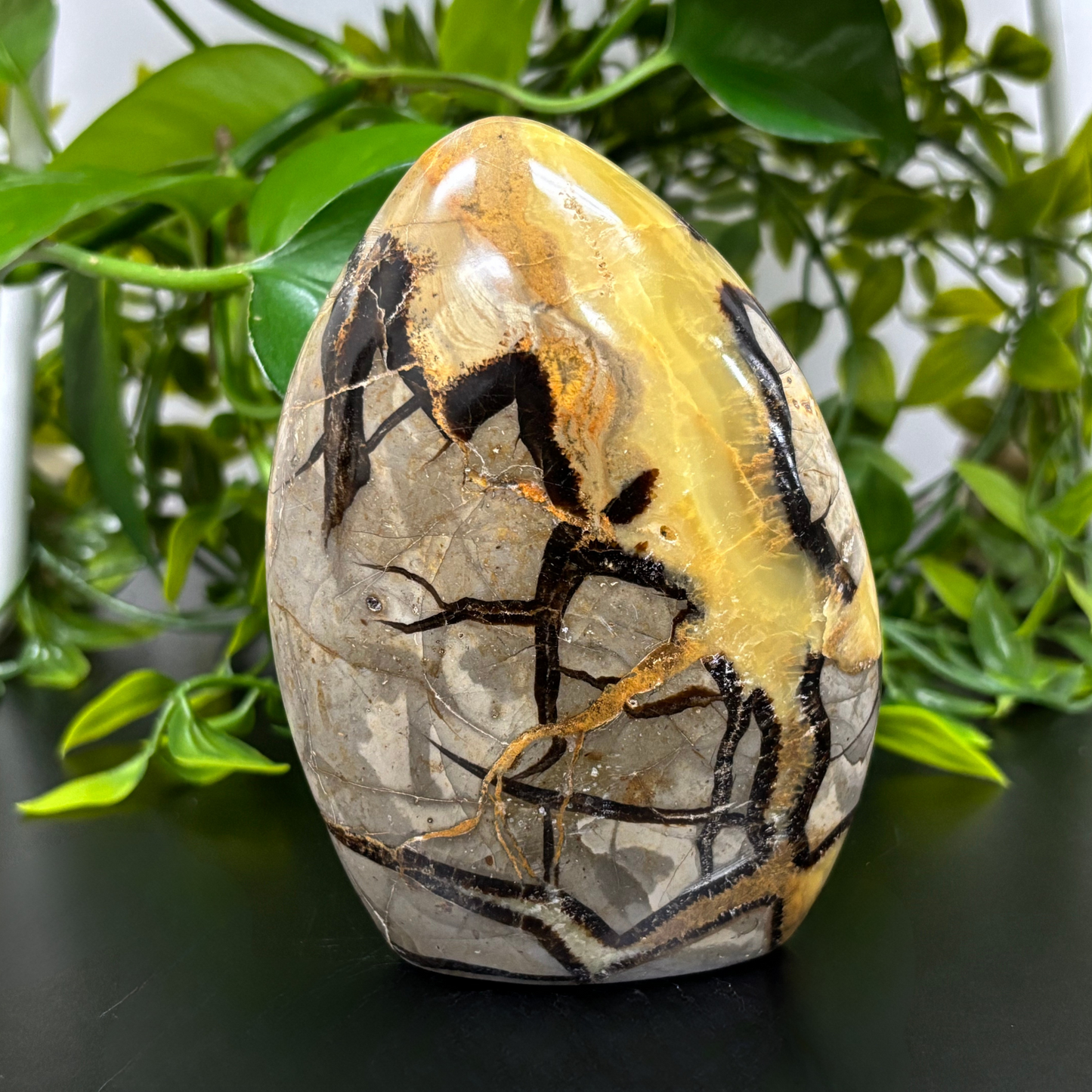 Natural Septarian Self-Standing Freeform Rock - RPS457