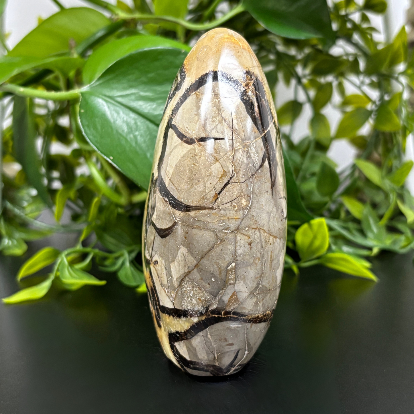 Natural Septarian Self-Standing Freeform Rock - RPS457