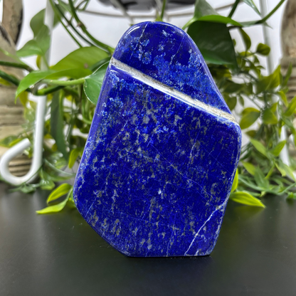 Natural Lapis Lazuli Self-Standing Freeform Rock - Healing Crystal Gemstone Decor-RPS458