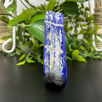 Natural Lapis Lazuli Self-Standing Freeform Rock - Healing Crystal Gemstone Decor-RPS458