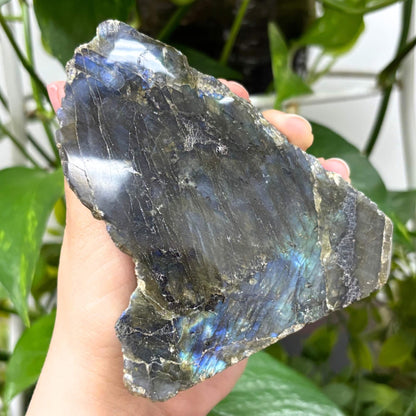 Labradorite Freeform Rock Natural Self-Standing Healing Crystal for Energy & Home Display - RPS459