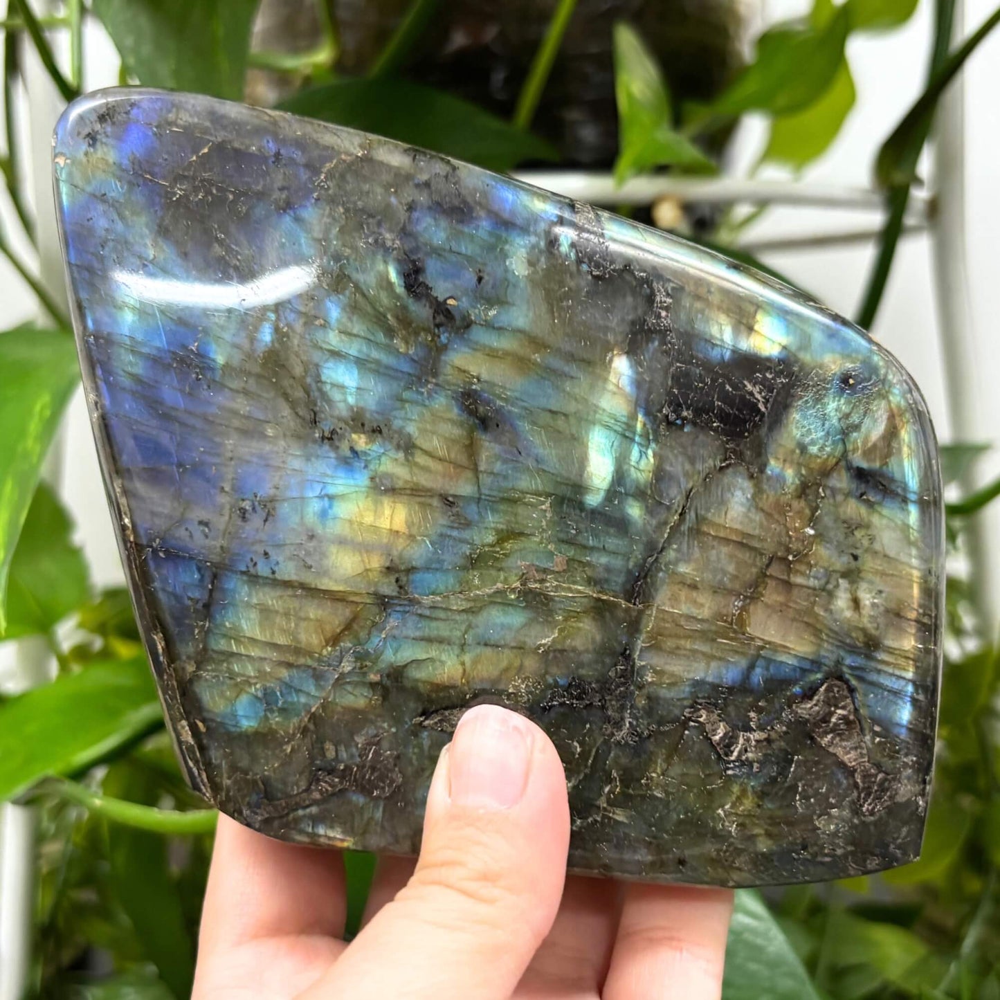 Natural Labradorite Self-Standing Freeform Rock - RPS460
