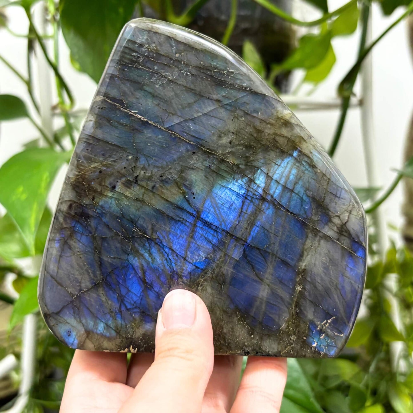 Natural Labradorite Self-Standing Freeform Rock - RPS461