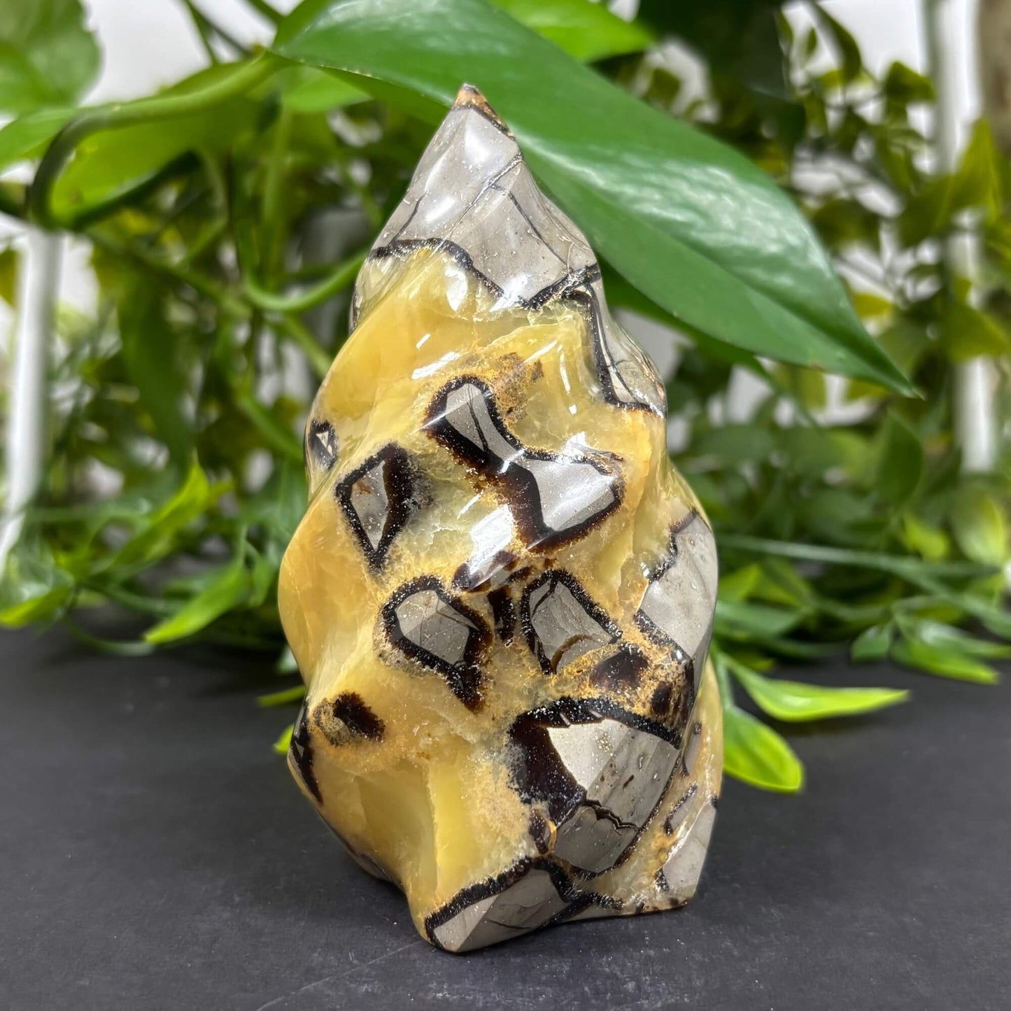 Natural Septarian Self-Standing Flame  - RPS462