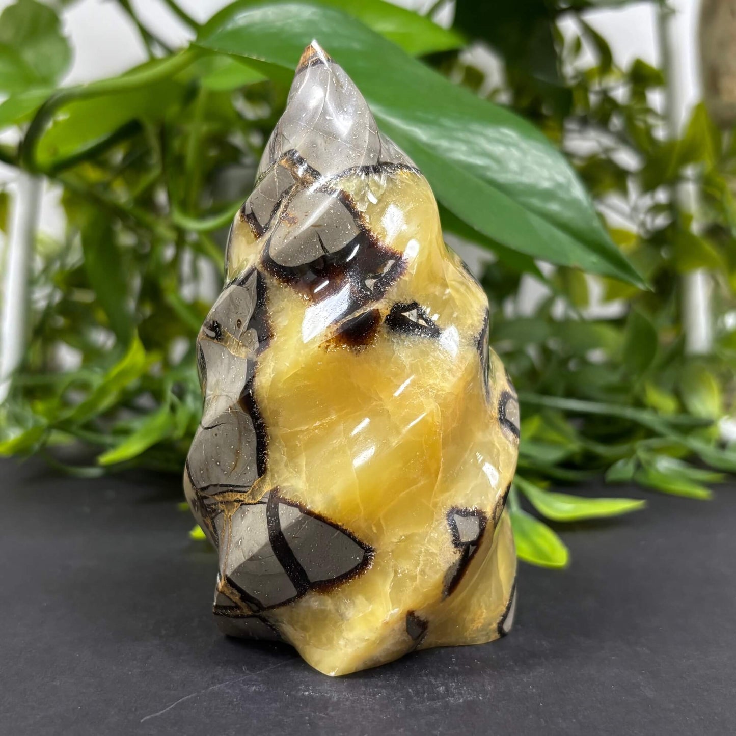 Natural Septarian Self-Standing Flame  - RPS462