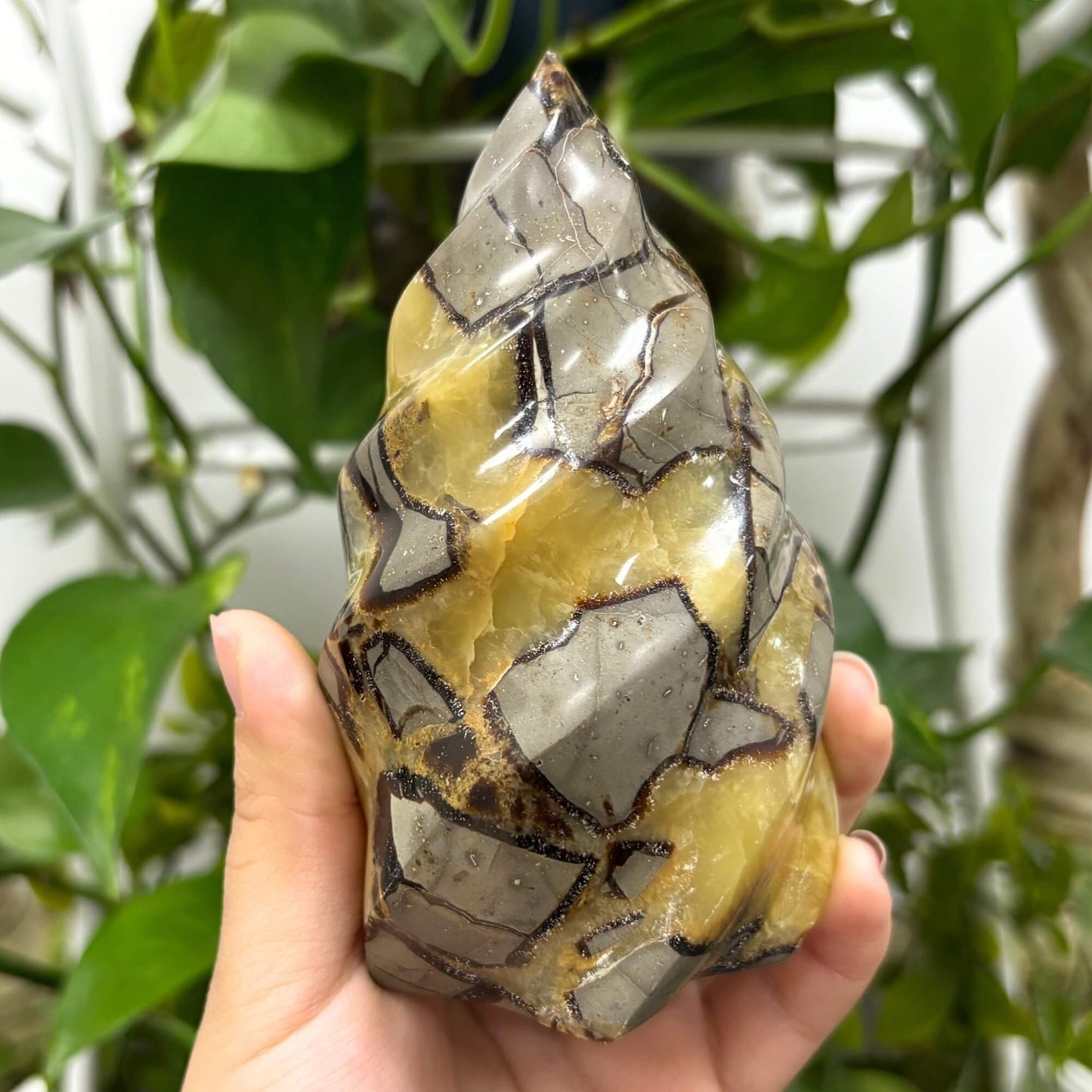 Natural Septarian Self-Standing Flame  - RPS462