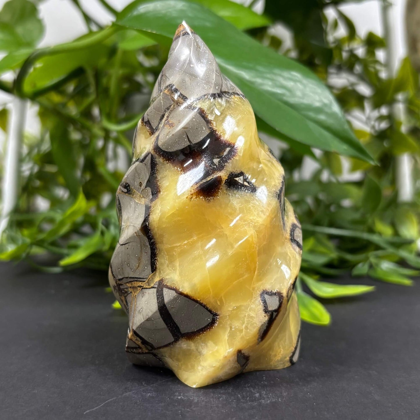 Natural Septarian Self-Standing Flame  - RPS462