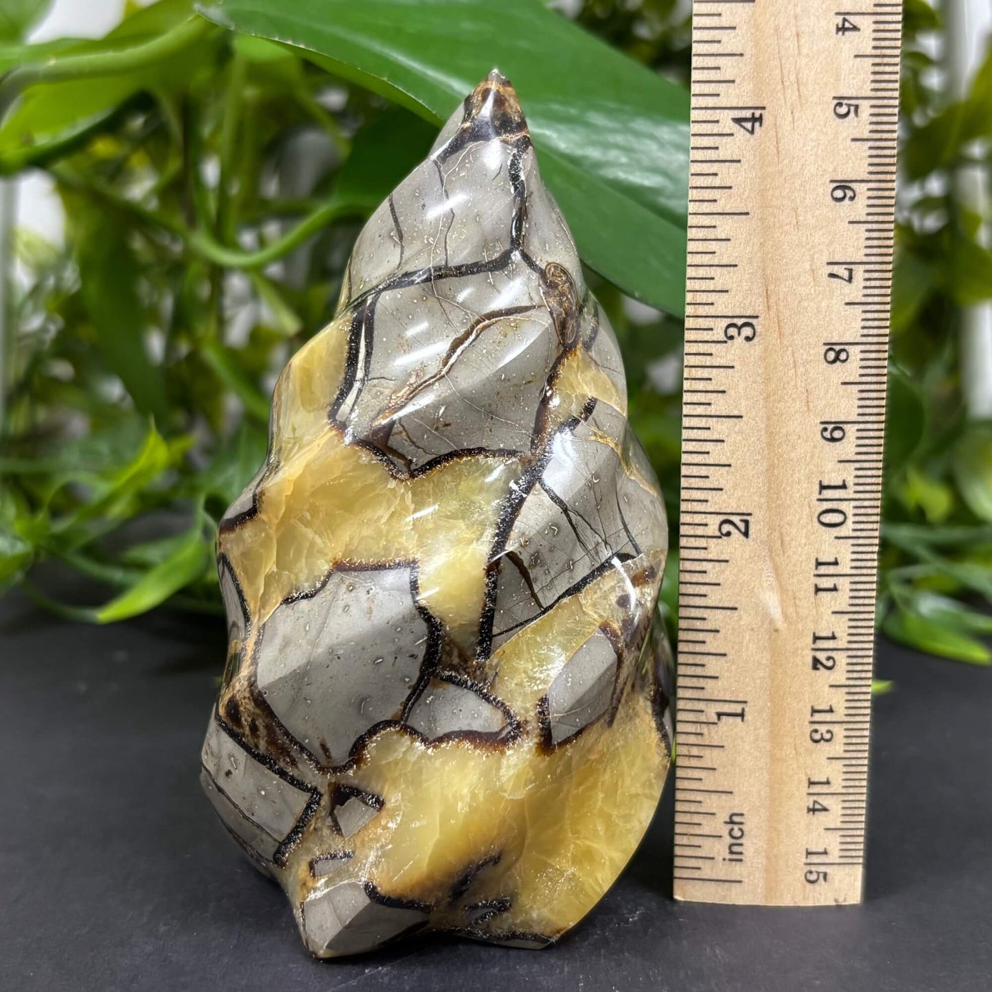 Natural Septarian Self-Standing Flame  - RPS462