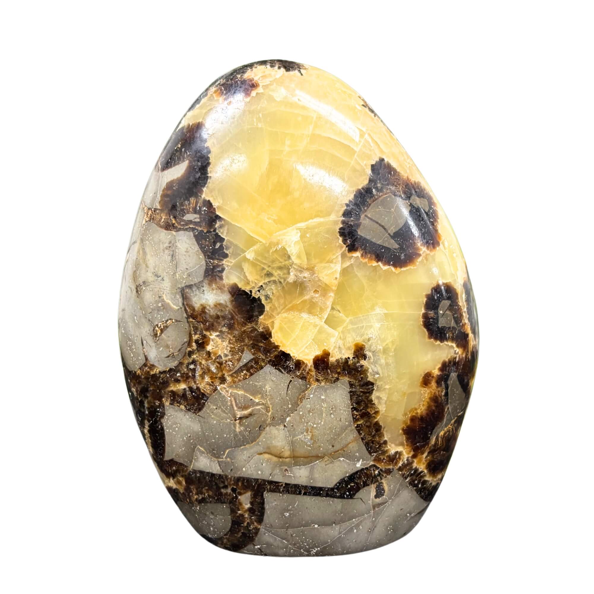 Best Freeform Rocks Natural Septarian Self-Standing Freeform Rock Polished Healing Stone f ...