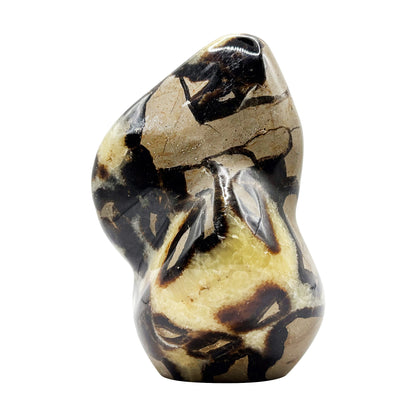 Natural Septarian Freeform Polished Crystal Fossil Stone Unique Healing Mineral, Decorative Display Piece, Energy Balancing Dragon Stone for Collectors, Meditation & Home Decor - RPS496