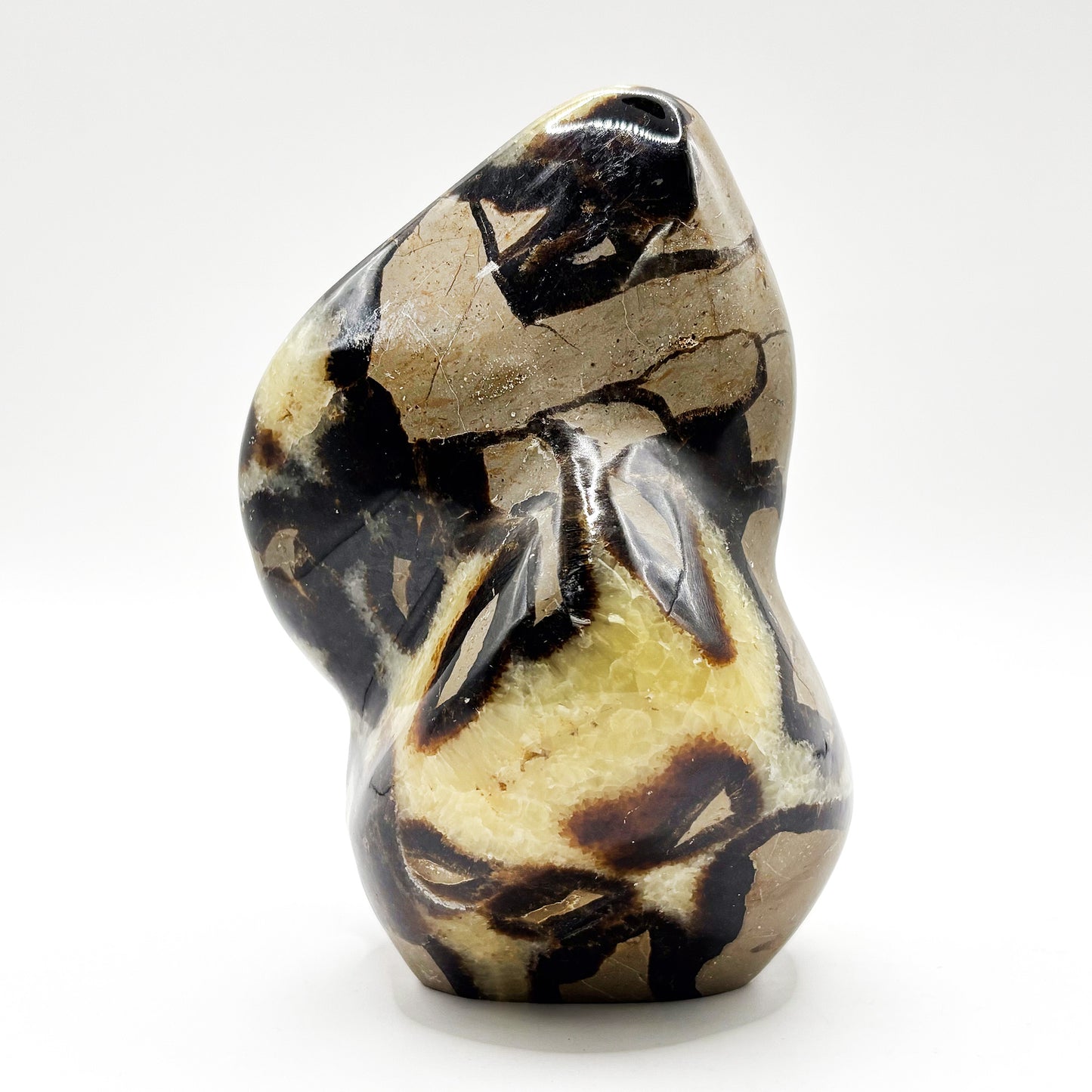 Natural Septarian Freeform Polished Crystal Fossil Stone Unique Healing Mineral, Decorative Display Piece, Energy Balancing Dragon Stone for Collectors, Meditation & Home Decor - RPS496