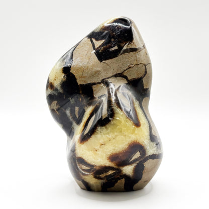Natural Septarian Freeform Polished Crystal Fossil Stone Unique Healing Mineral, Decorative Display Piece, Energy Balancing Dragon Stone for Collectors, Meditation & Home Decor - RPS496