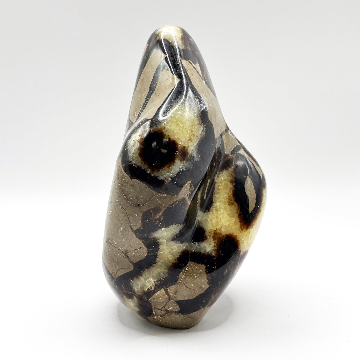 Natural Septarian Freeform Polished Crystal Fossil Stone Unique Healing Mineral, Decorative Display Piece, Energy Balancing Dragon Stone for Collectors, Meditation & Home Decor - RPS496
