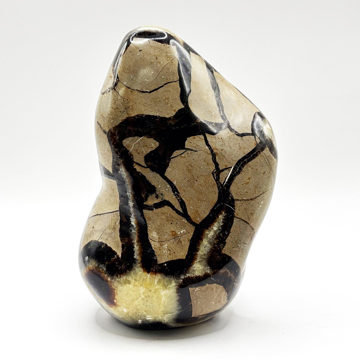Natural Septarian Freeform Polished Crystal Fossil Stone Unique Healing Mineral, Decorative Display Piece, Energy Balancing Dragon Stone for Collectors, Meditation & Home Decor - RPS496