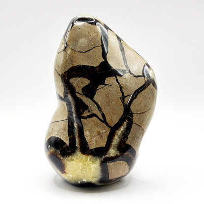Natural Septarian Freeform Polished Crystal Fossil Stone Unique Healing Mineral, Decorative Display Piece, Energy Balancing Dragon Stone for Collectors, Meditation & Home Decor - RPS496