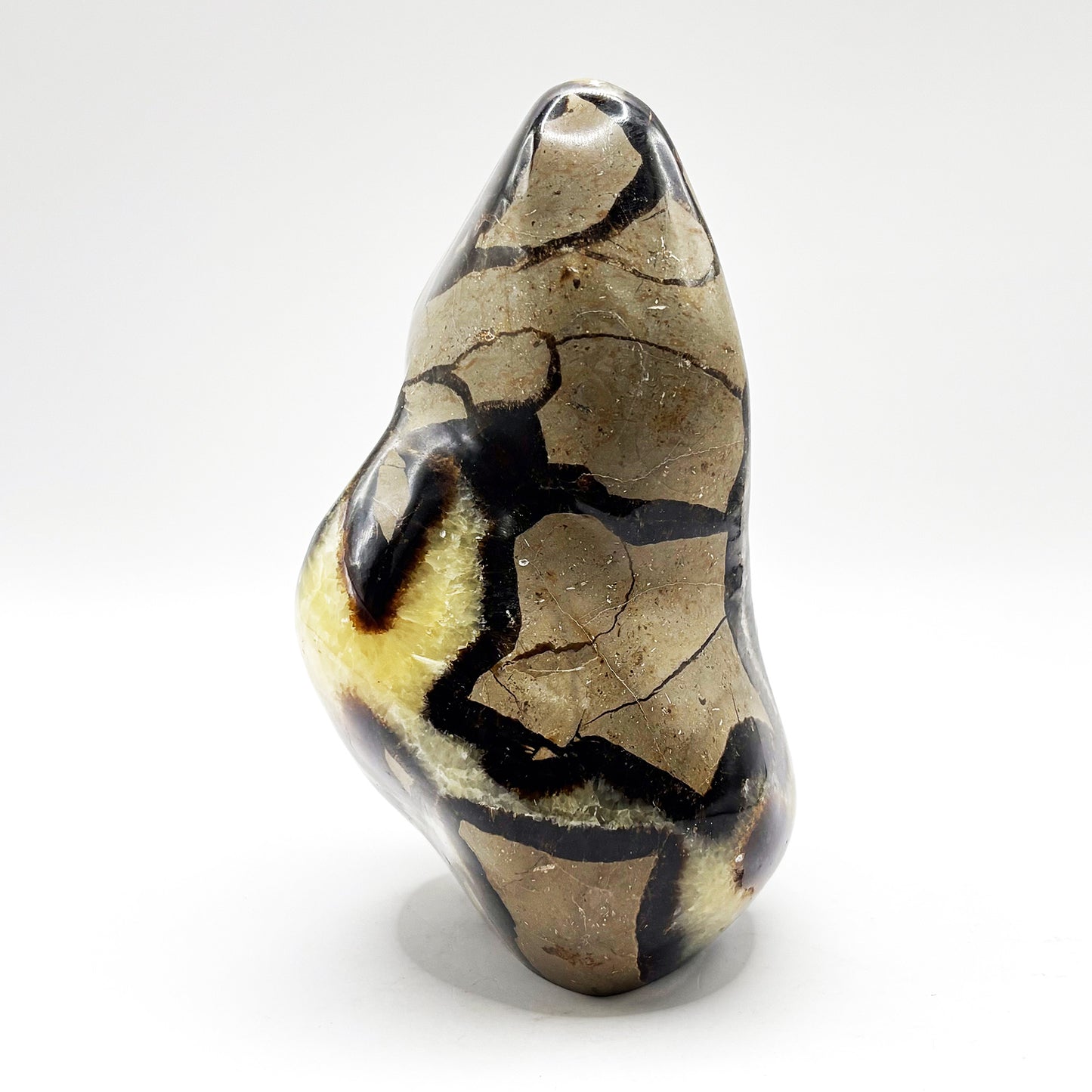 Natural Septarian Freeform Polished Crystal Fossil Stone Unique Healing Mineral, Decorative Display Piece, Energy Balancing Dragon Stone for Collectors, Meditation & Home Decor - RPS496